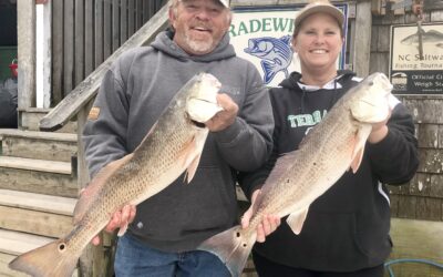 What to Expect Fishing Ocracoke in March